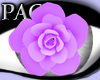 *PAC* Purple Rose Ring