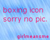 08boxing icon