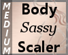 Body Scaler Sassy M