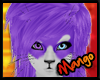 -DM- Purple Husky Hair M