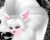 (MI) White cat hair