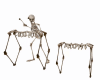 Skeleton Dulcimer