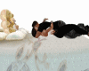 Bia LOVE BOAT