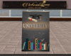 University/Universidad