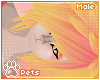 [Pets] Luci | hair v6