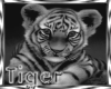 *TR*TigerCub 2