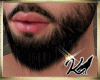K♛-BEARD M*