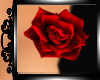 !  Red Rose Pin