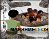 CAMP FIRE n MARSHMELLOWS