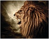 roar like the lion