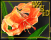 Tiger Lily Plant Orange