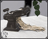 Pasta Maker