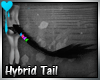 D~Hybrid Tail:Black M/F