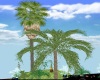 isoletta palme