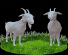 goats cutout