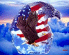 American Eagle Shades