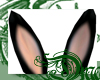 d Black Bunny Ears