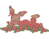 Bunny/Hearts2
