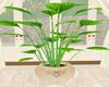 Cocio Pri/Wee Plants V1
