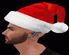Christmas hat M/F Santa