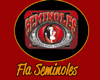 !bamz! Fla Seminoles