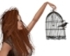 Birdcage with poses