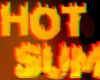 hot girl summer bannner