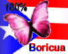 puertorico boricua