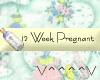 12 Weeks Pregnant (Y)