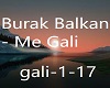 GALI-1-17 +DANSE