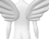 Angel Wings