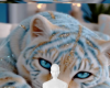 Sweet tiger background