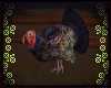 🦃 Turkey Boi