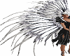 Dancer's Back Feathers