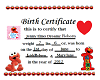 Jennys Birth Certificate