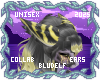 Stormy Ears 5