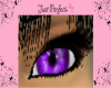 ~ABH~Purple Doll Eyes