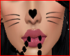 Black Kitty Wiskers