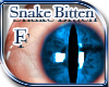 (E)Blu Snake Bitten 1