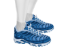 TN1 Blue