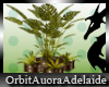 ~OA~ Green Envy Plant 1