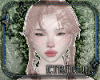 Wind Fairy Hair Base v7