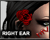 (MV) Red Right Ear Rose