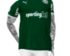 Palmeiras 2025