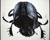 Scarab Beetle + Sound