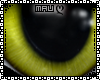 ღ|Yellow Eyes|F&M