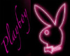 playboy bunny bar purp