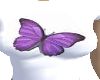 Purple Butterfly T