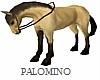 HORSE-PALOMINO