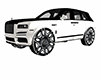 ANIMATED ADD ON RIMS
